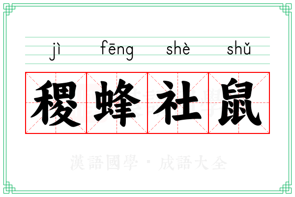 稷蜂社鼠