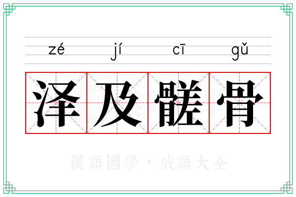 泽及髊骨