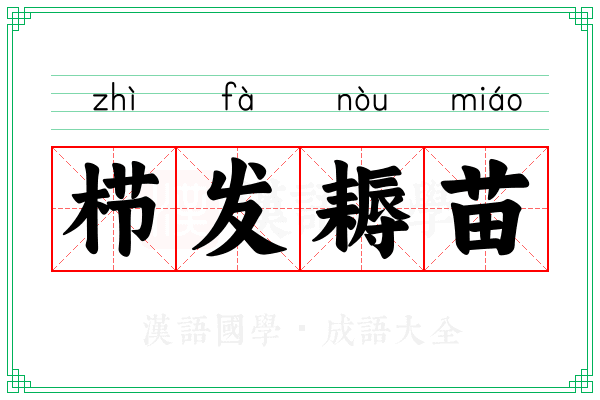 栉发耨苗