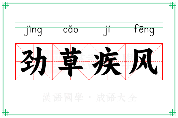 劲草疾风
