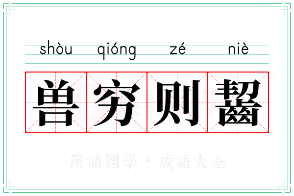 兽穷则齧