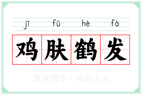 鸡肤鹤发