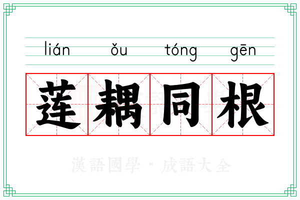 莲耦同根