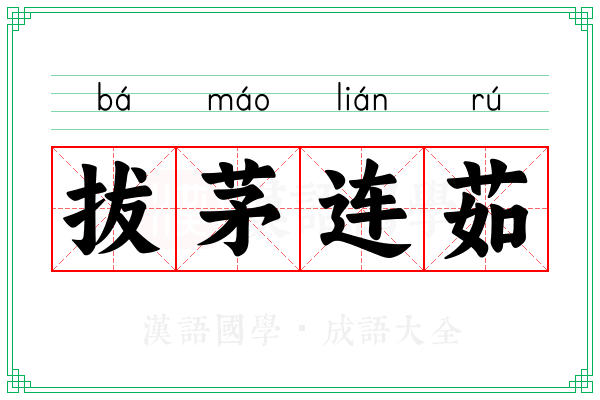 拔茅连茹