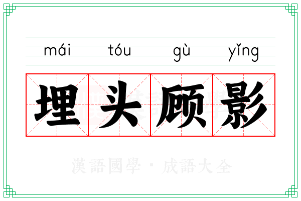 埋头顾影