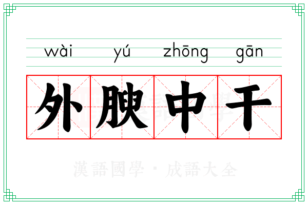 外腴中干