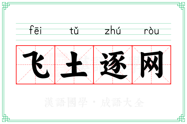 飞土逐网