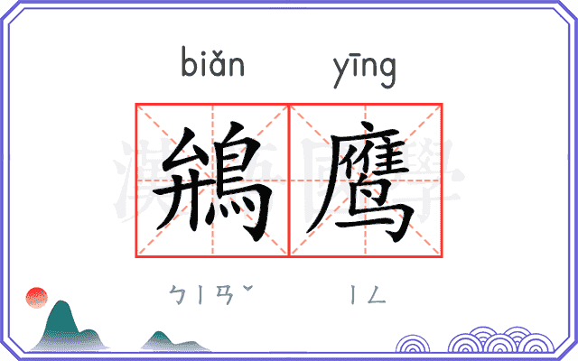 鴘鹰