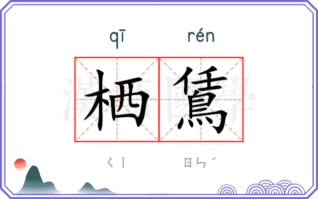 栖鵀