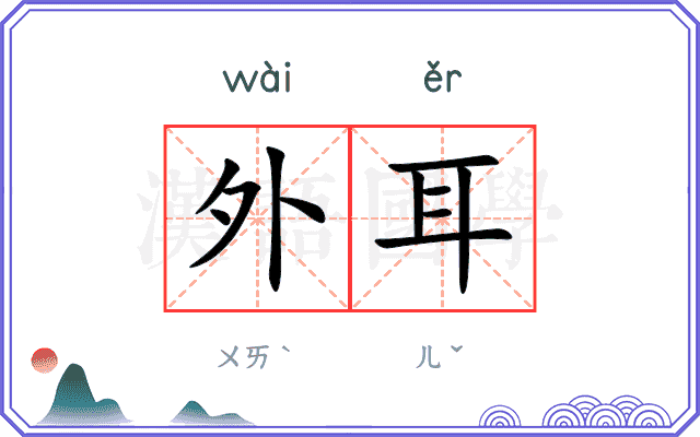 外耳