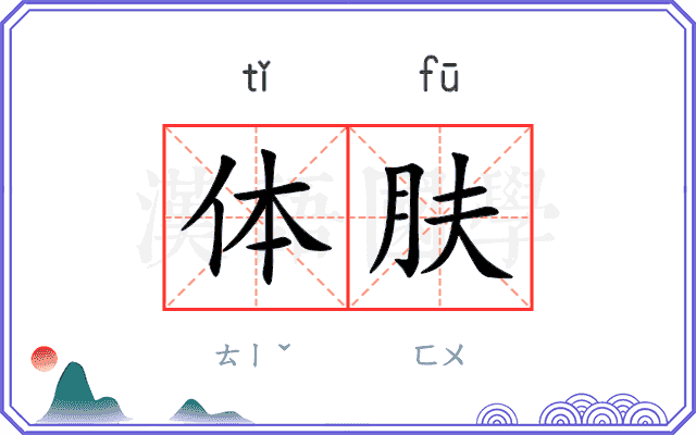 体肤