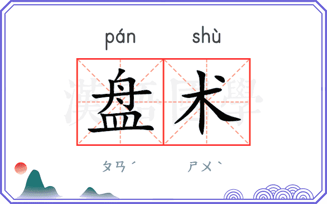 盘术