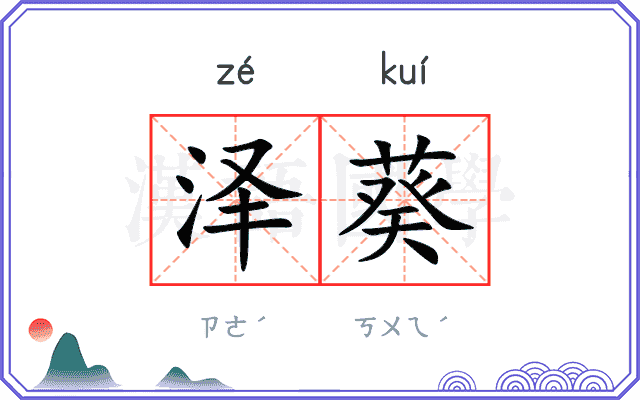 泽葵