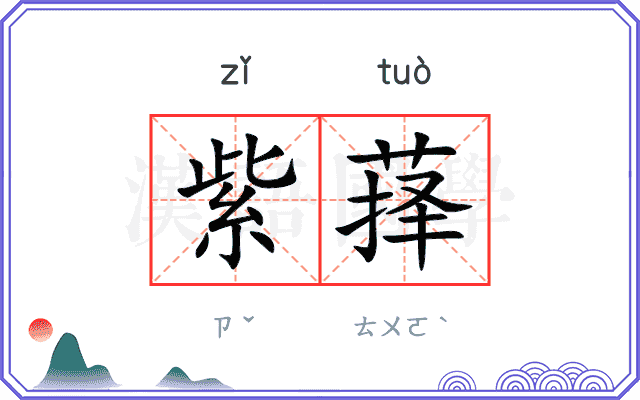 紫萚