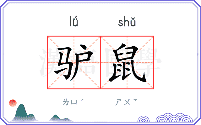 驴鼠