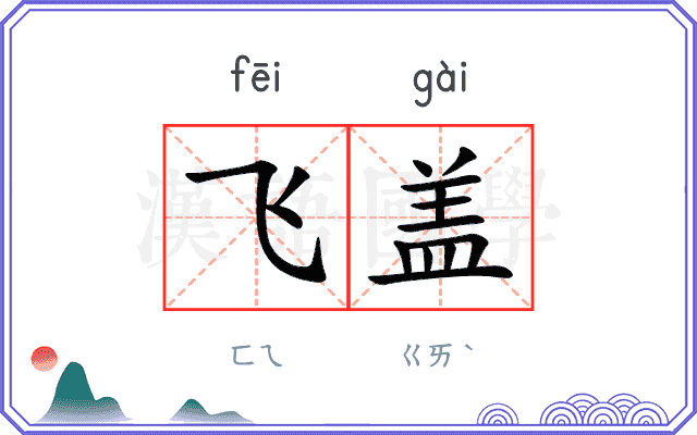 飞盖