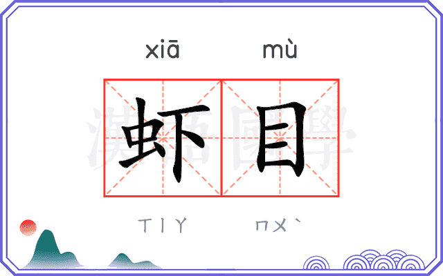 虾目
