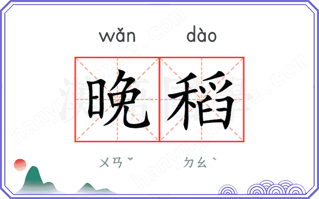 晚稻