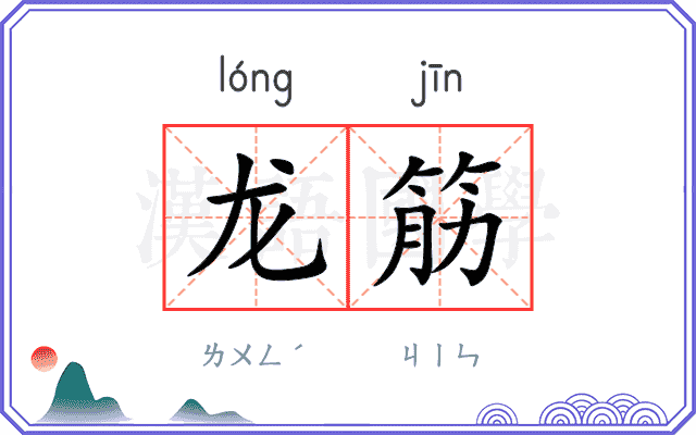 龙筋