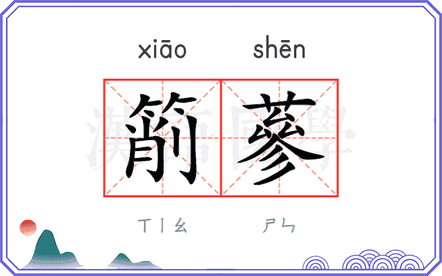 箾蔘