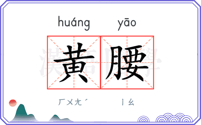 黄腰
