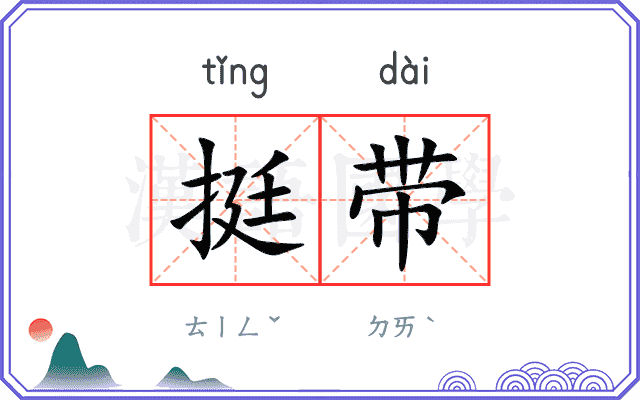 挺带