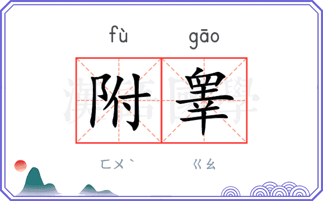 附睾