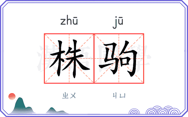 株驹