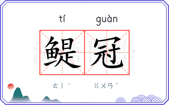 鳀冠