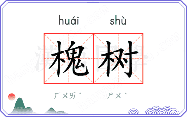 槐树