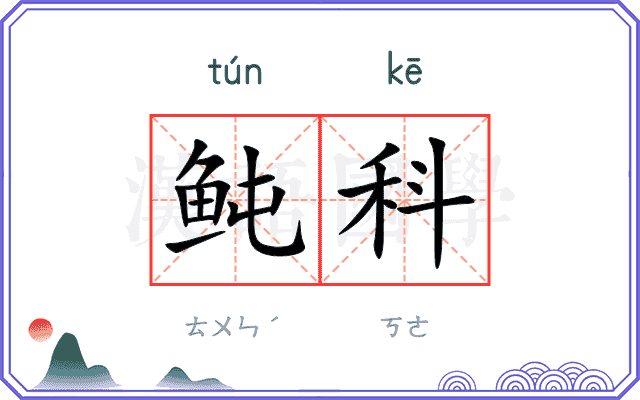 鲀科