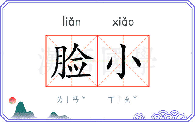 脸小