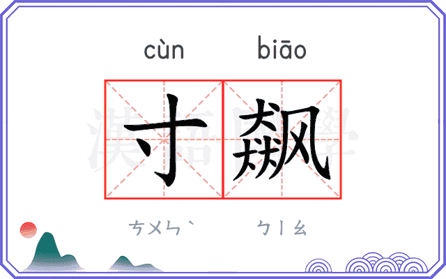 寸飙