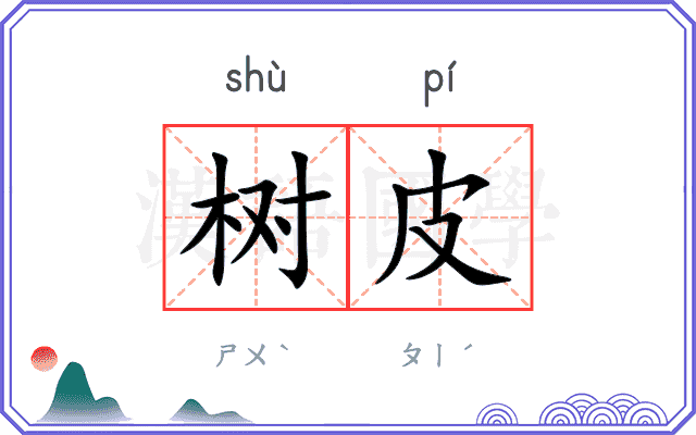 树皮