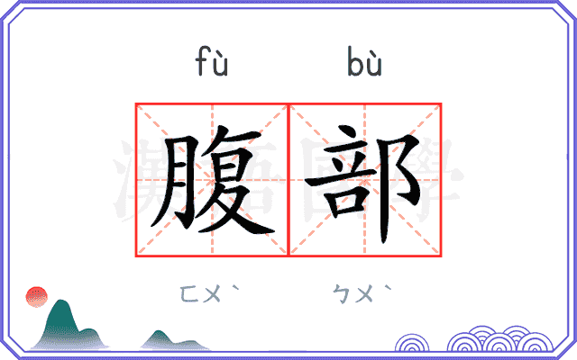 腹部