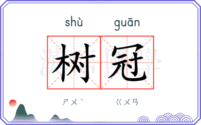 树冠