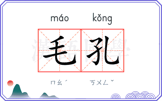 毛孔
