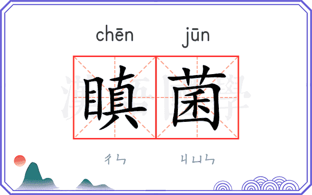 瞋菌