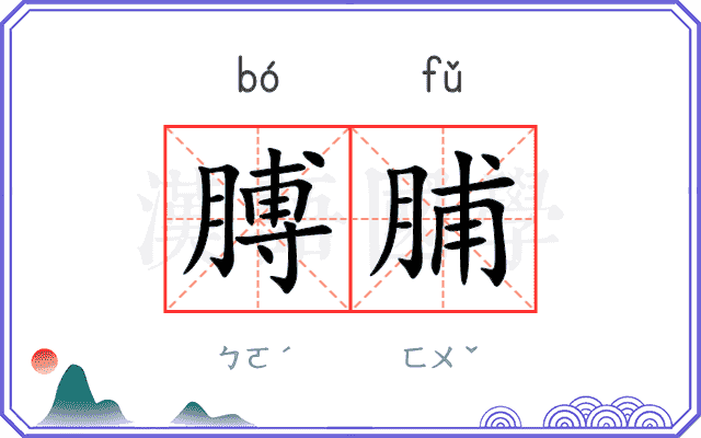 膊脯