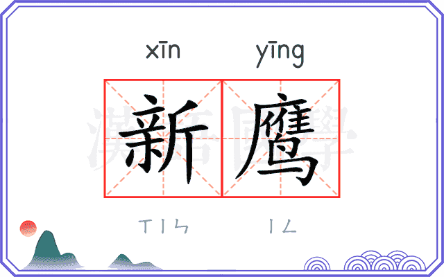 新鹰
