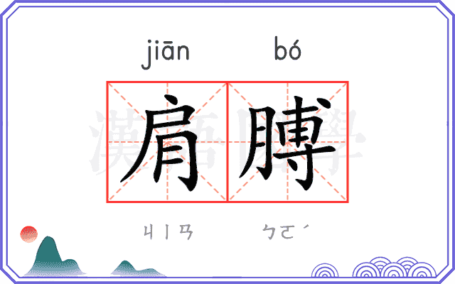 肩膊