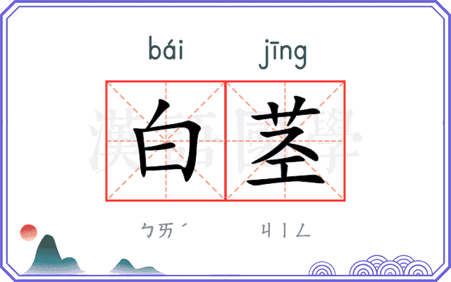 白茎