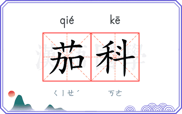 茄科