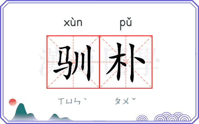 驯朴