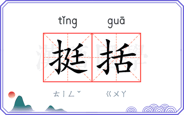 挺括