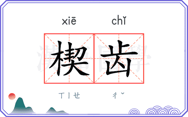 楔齿