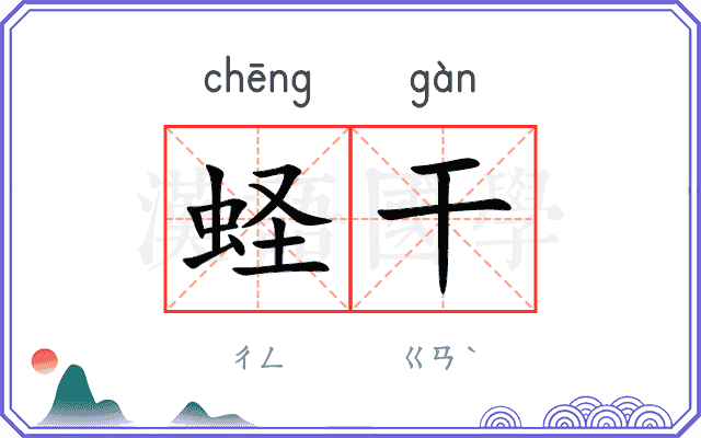 蛏干
