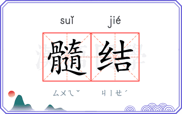 髓结