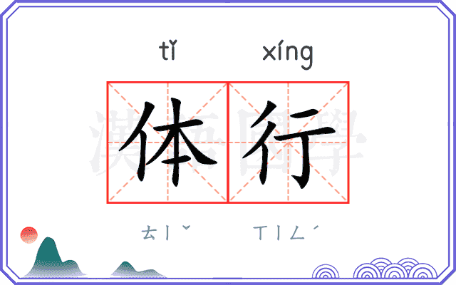 体行