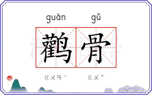 鹳骨